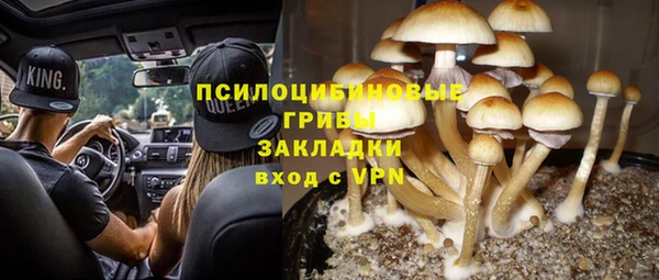 не бодяженный Медногорск