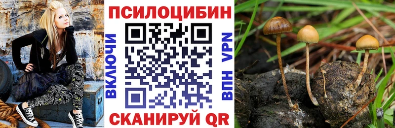 Галлюциногенные грибы мицелий  как найти закладки  Химки 